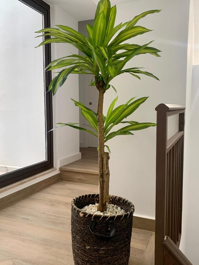 Puerta De Caceres Apartamento 2 Экстерьер фото