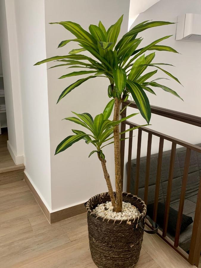 Puerta De Caceres Apartamento 2 Экстерьер фото