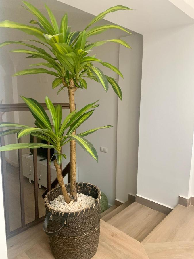 Puerta De Caceres Apartamento 2 Экстерьер фото